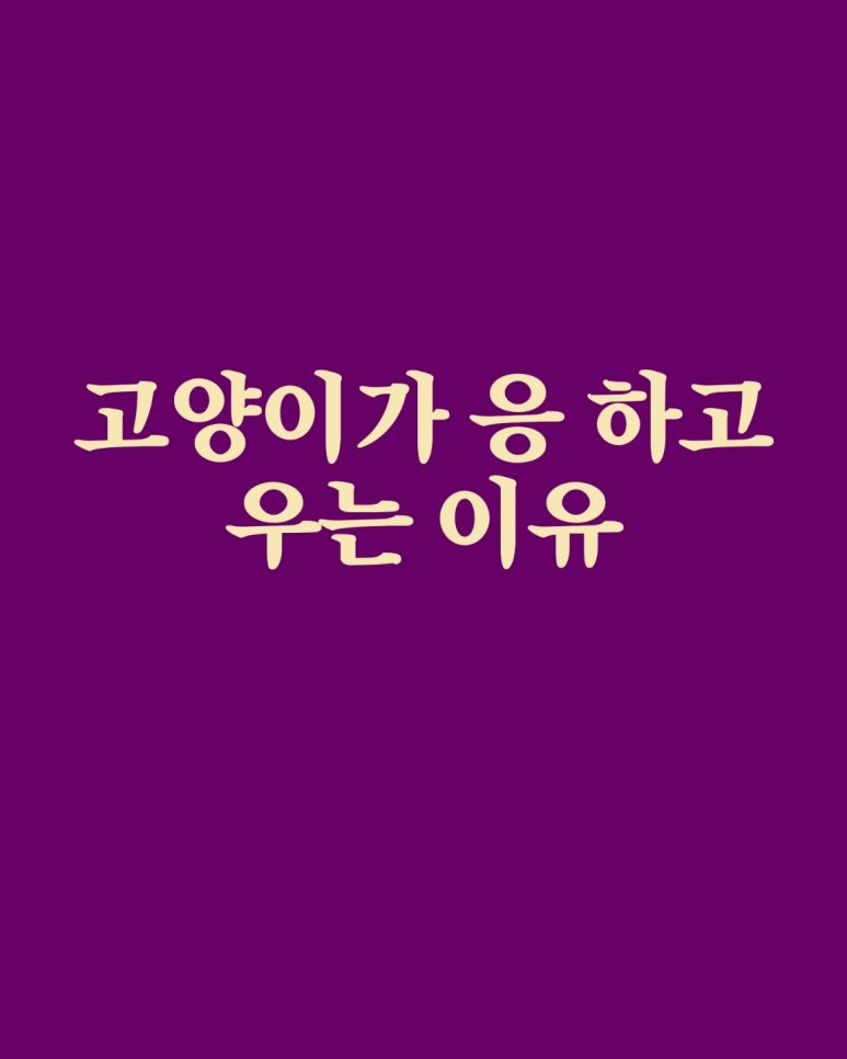 고양이가 응 하고 우는 이유