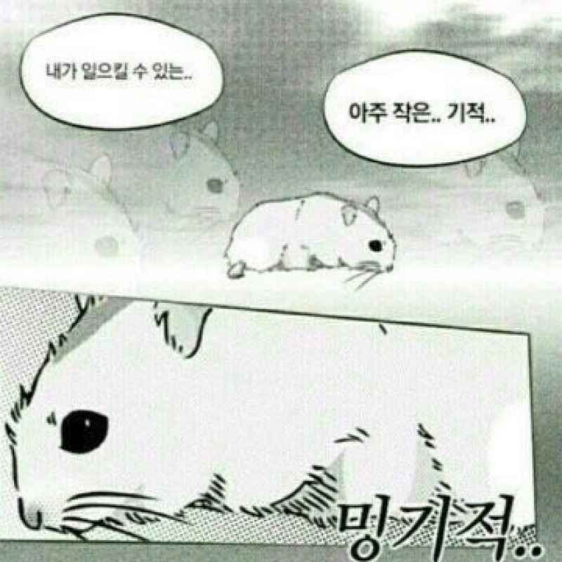 작은생각 이미지