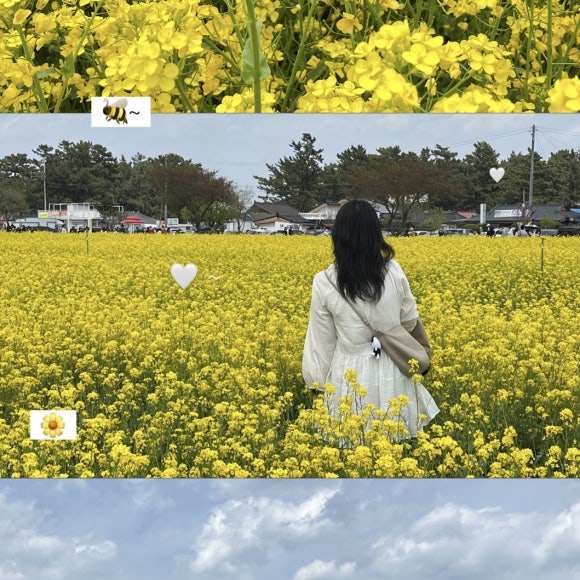 상맹방1리 이미지