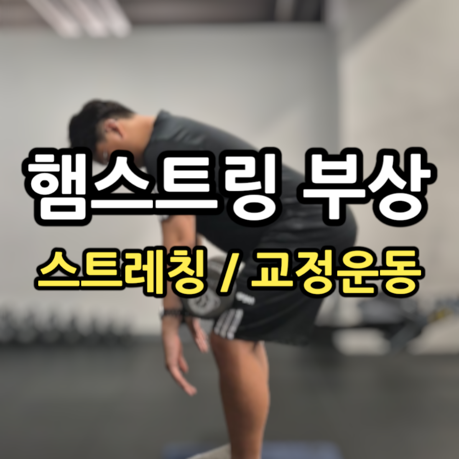 왓어무브 이미지