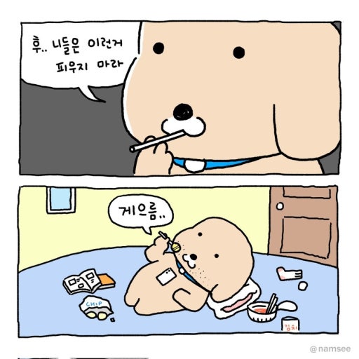 원더플레이스 이미지