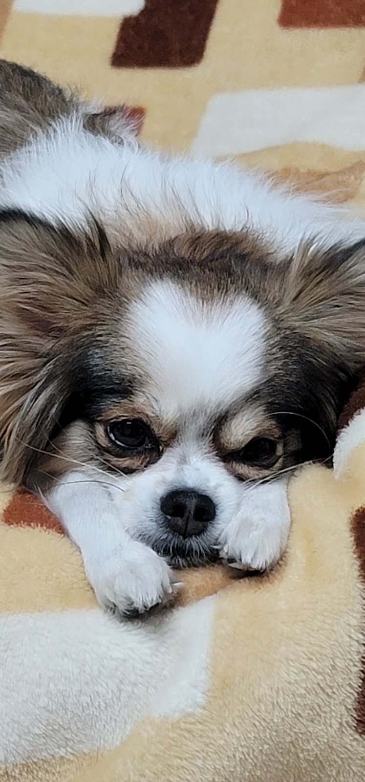 잘자 이미지