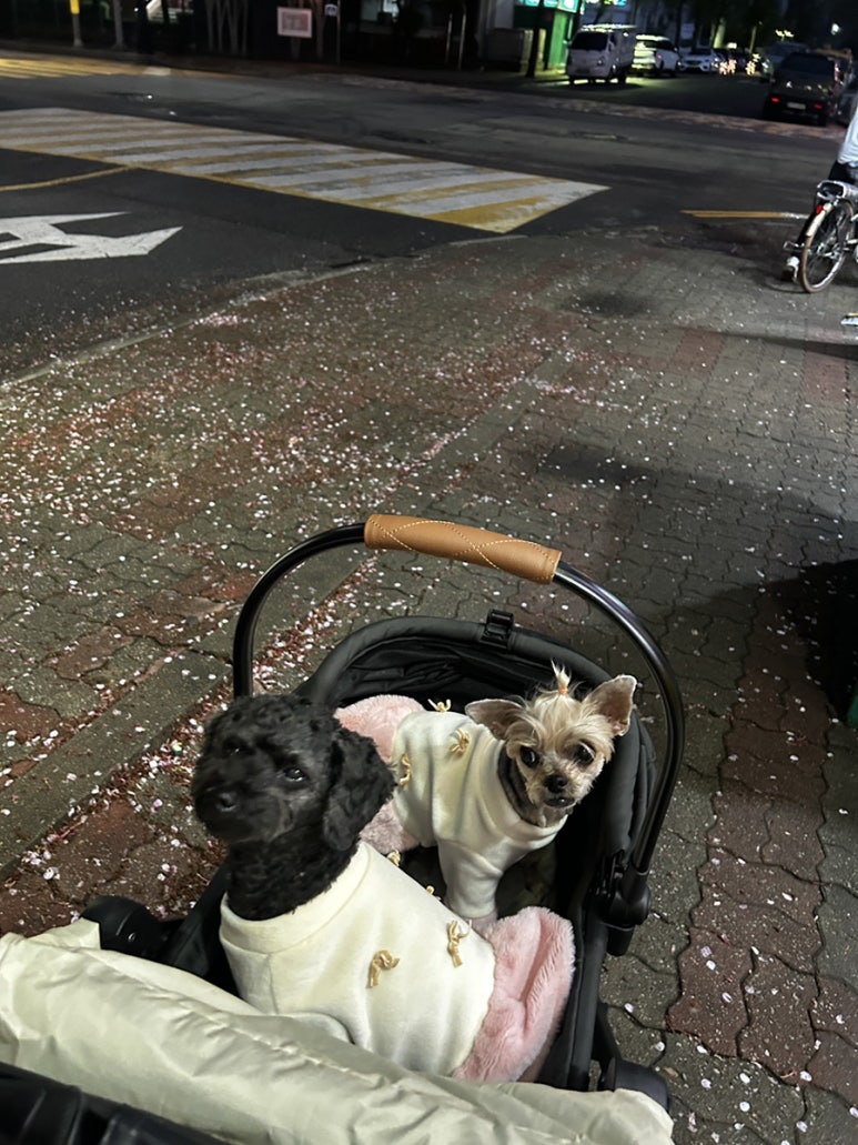테라커피 신중동점 이미지