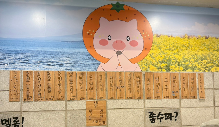 제주청년돼지 이미지