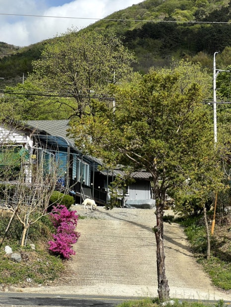 캠앤캠아지트 이미지
