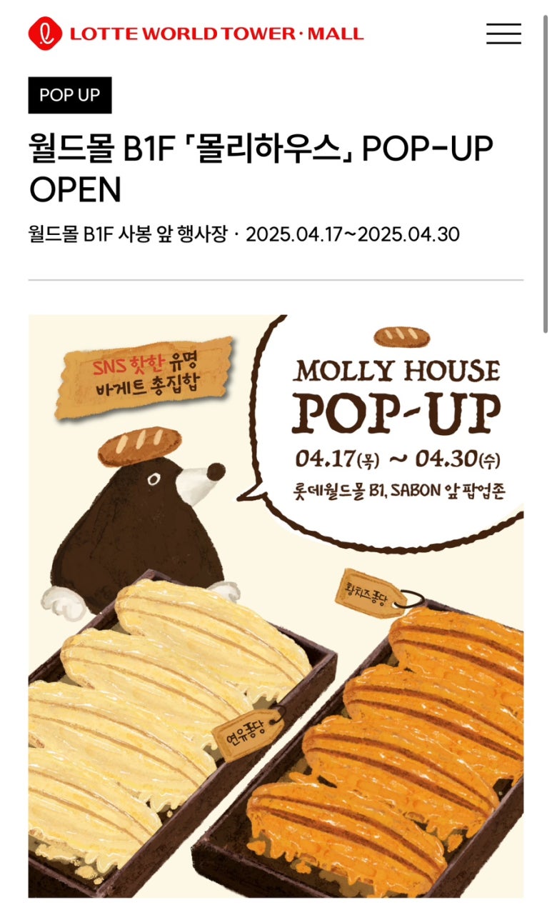 몰리하우스 이미지