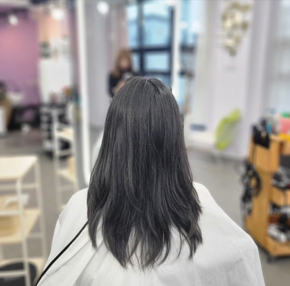 엘르리헤어 이미지