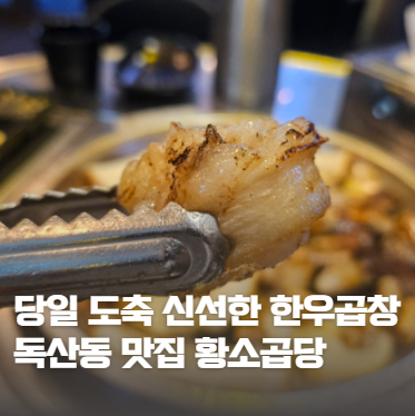 황소곱당 이미지
