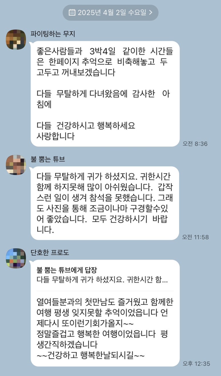 엠에스투어 이미지