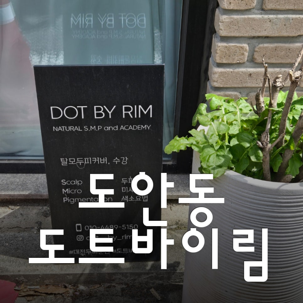 도트바이림 이미지