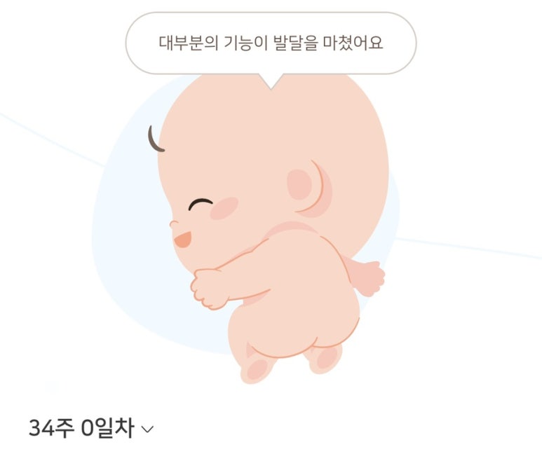 싸르르 이미지