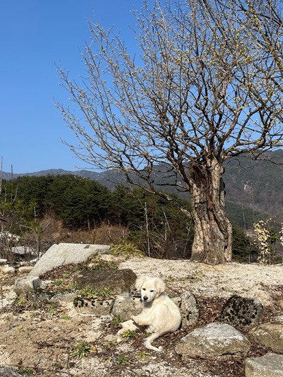 여울침구 이미지
