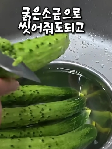 마성의반찬 이미지
