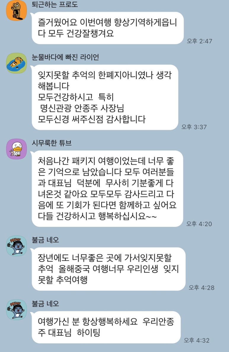 엠에스투어 이미지