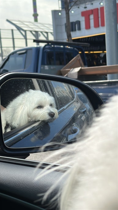 최영골민박 이미지