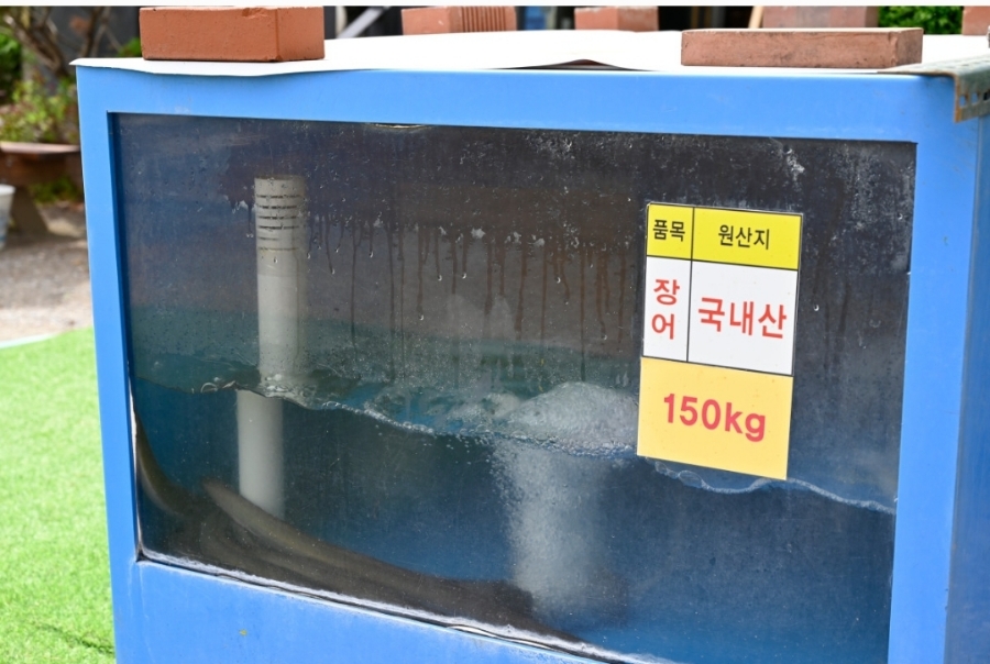 한장어 이미지