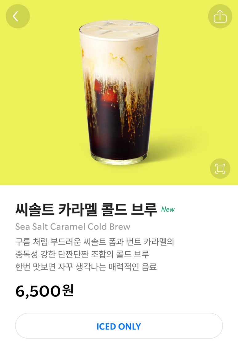 솔트씨 이미지