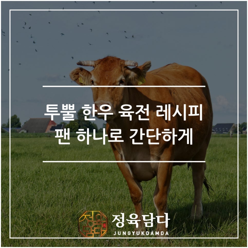 정육담다 이미지