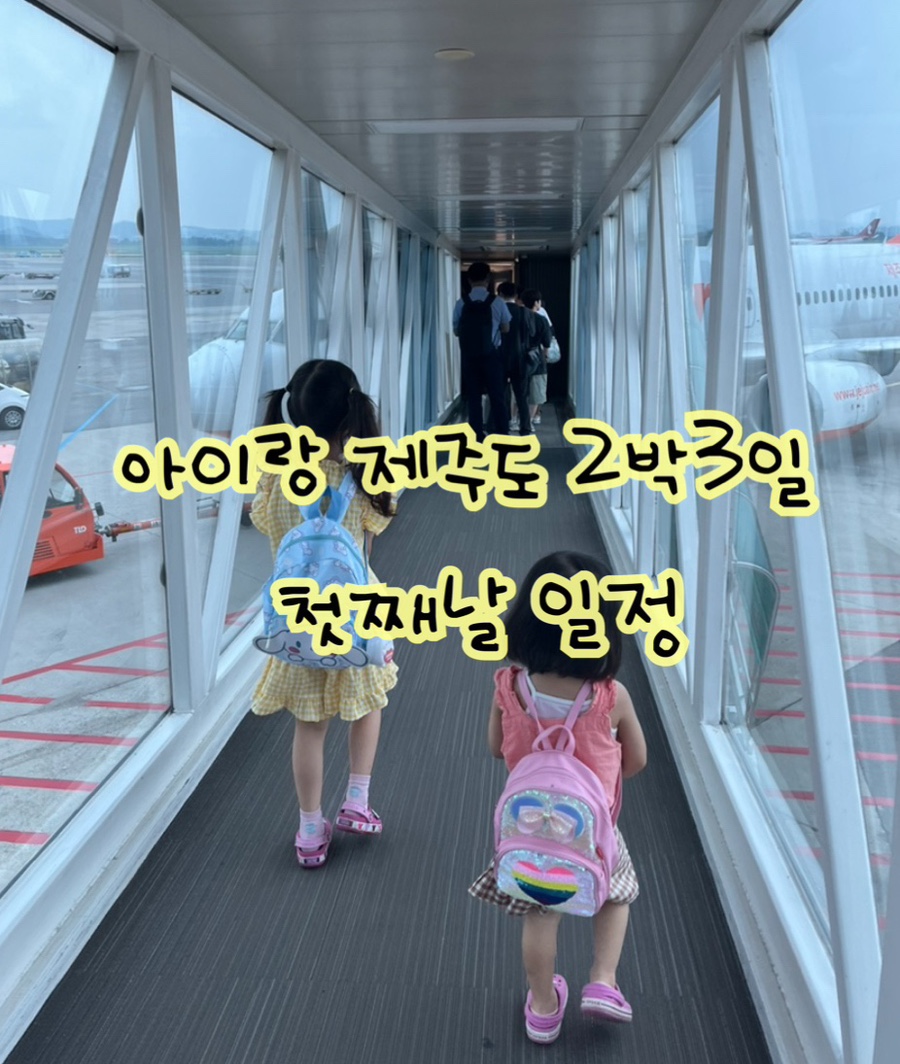 비스비전 이미지