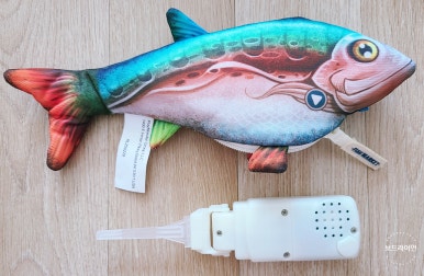 팔딱팔딱 이미지