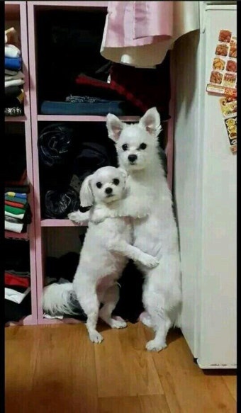 멋쟁이남성헤어 이미지