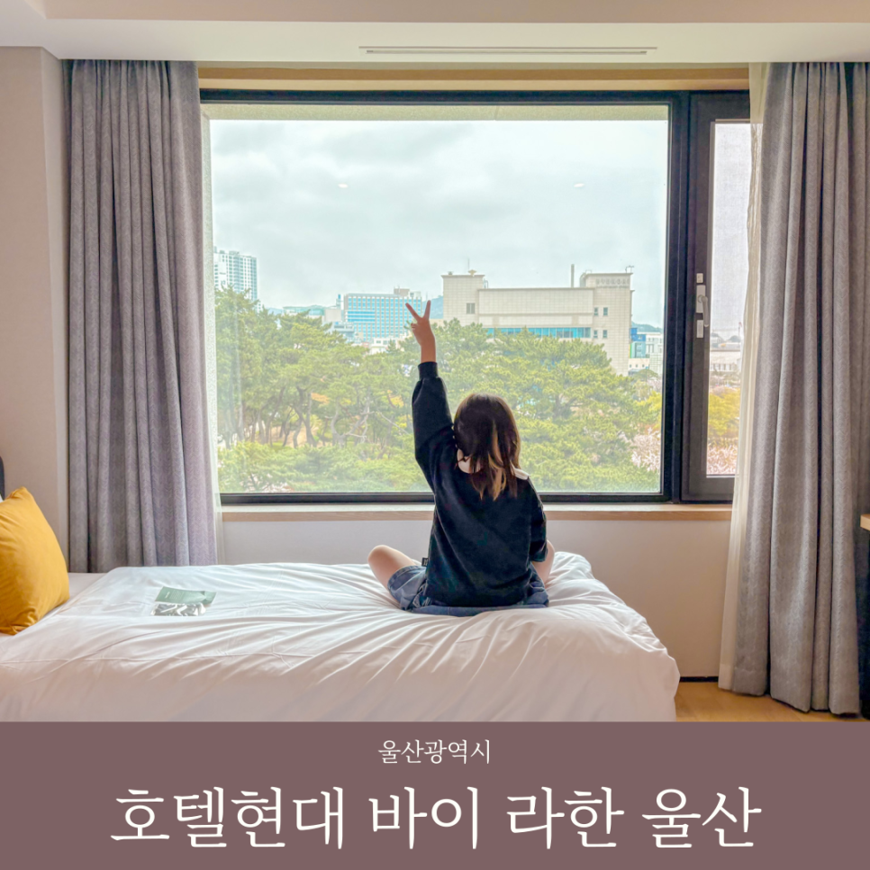 오마이패키지 이미지