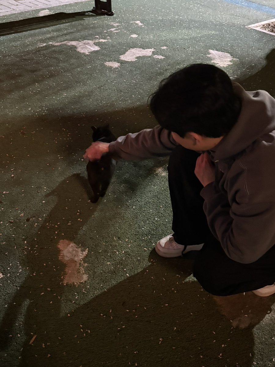 쭘마즉석떡볶이 이미지