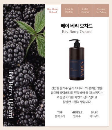 디브로 이미지