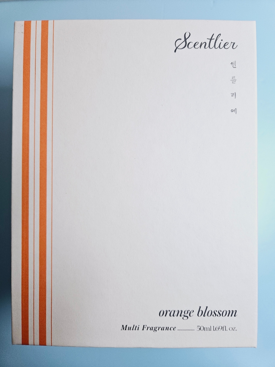 블루레몬 이미지