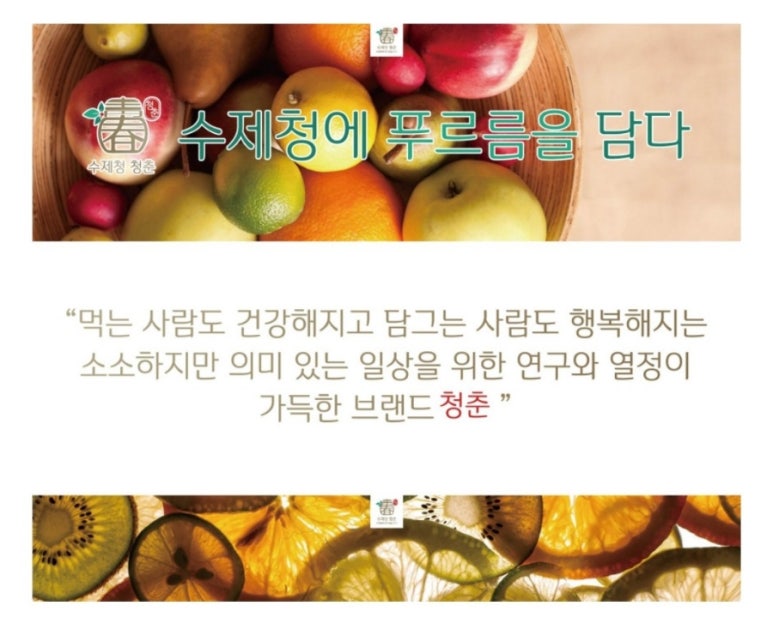수제청청춘 이미지
