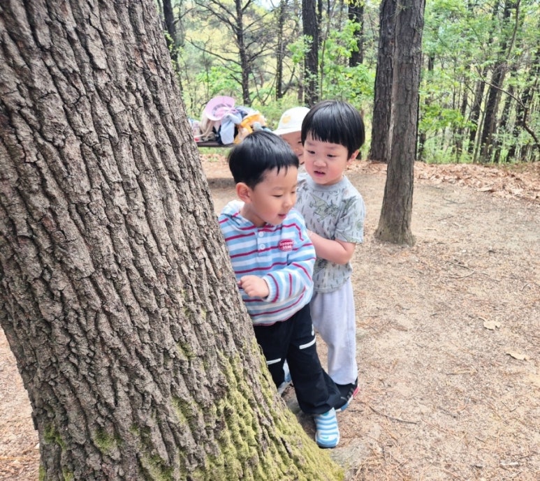 신천안어린이집 이미지