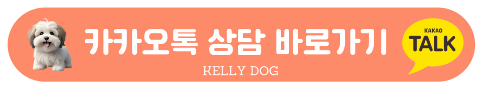강남 애견 유치원 켈리독, 미용·호텔 풀케어 후기 — 사진 11