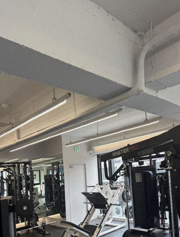 피티투그로우PT 이미지