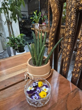 커피하다 이미지