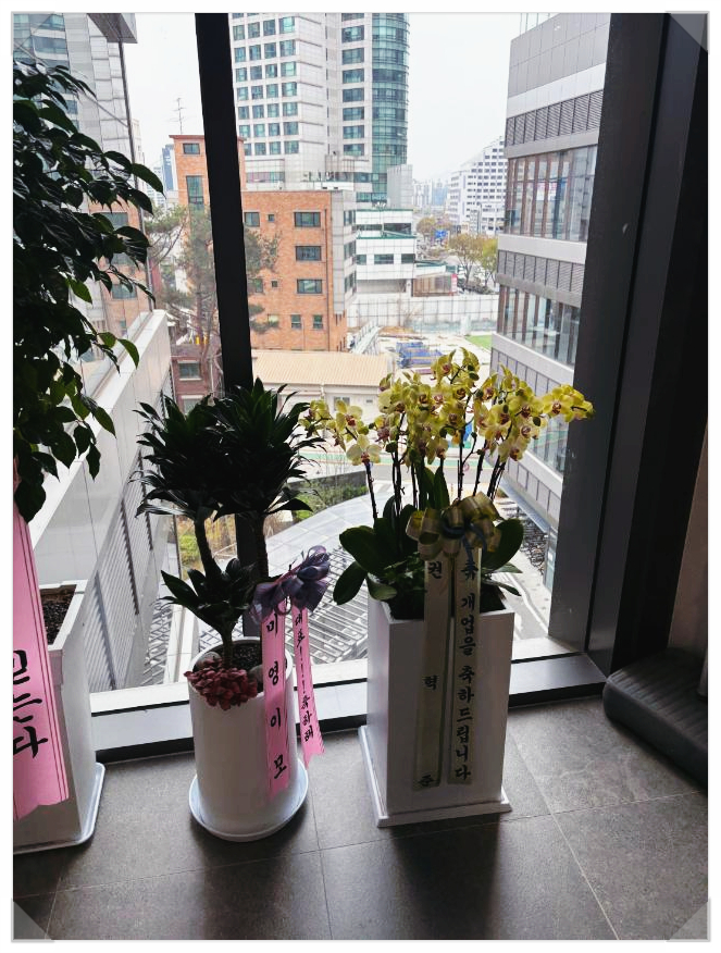 오드헤어 이미지