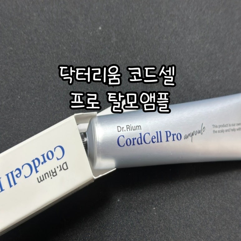 닥터리움 이미지
