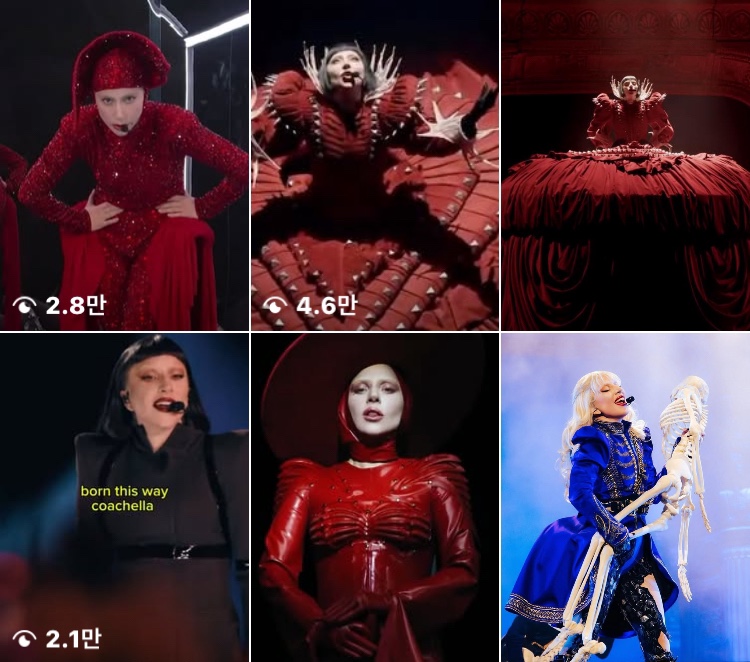 파고레이디 이미지