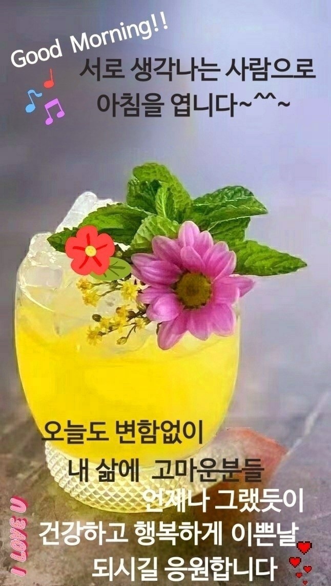 수지상사 이미지
