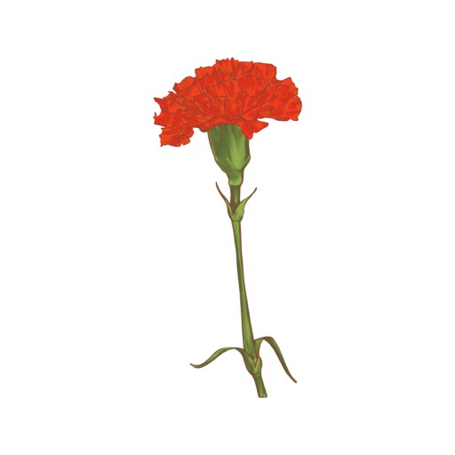 생화당 이미지
