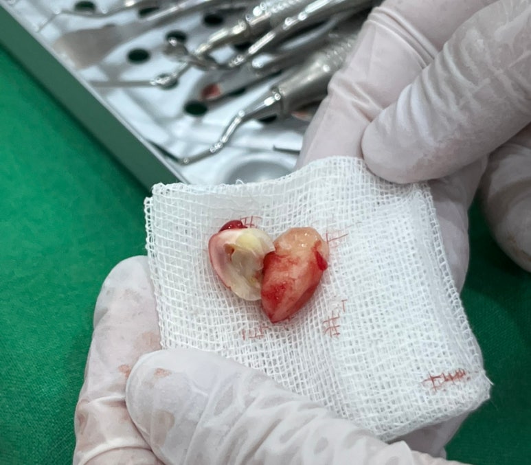 서울더편한치과의원 이미지