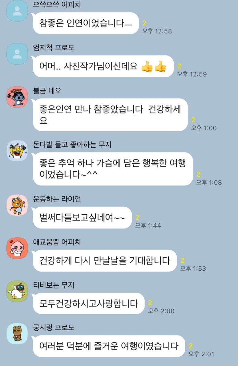 엠에스투어 이미지