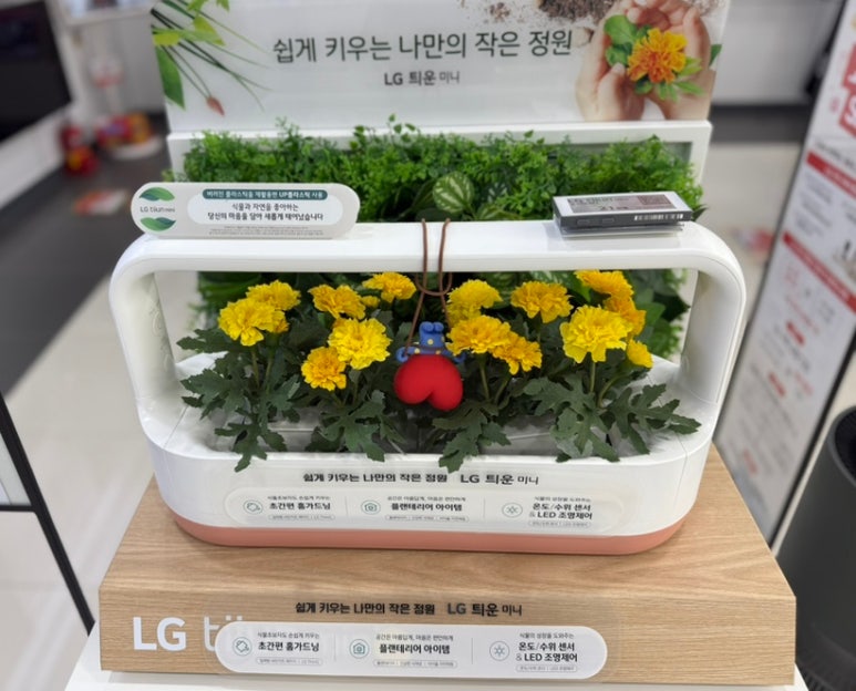 투인샵 이미지