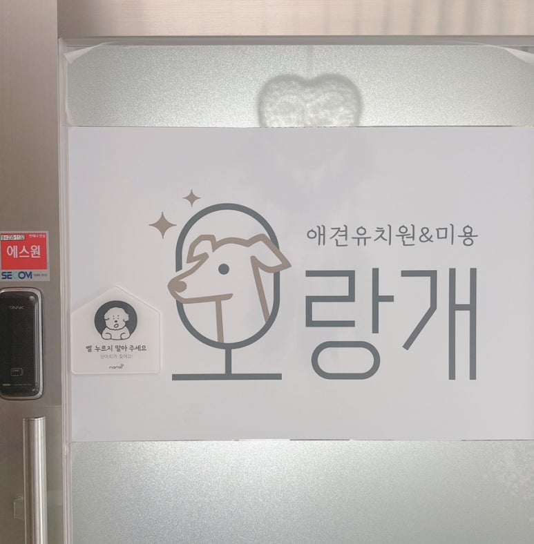 강아지 수원 오랑개 강아지 유치원, 상주 호텔링 후기