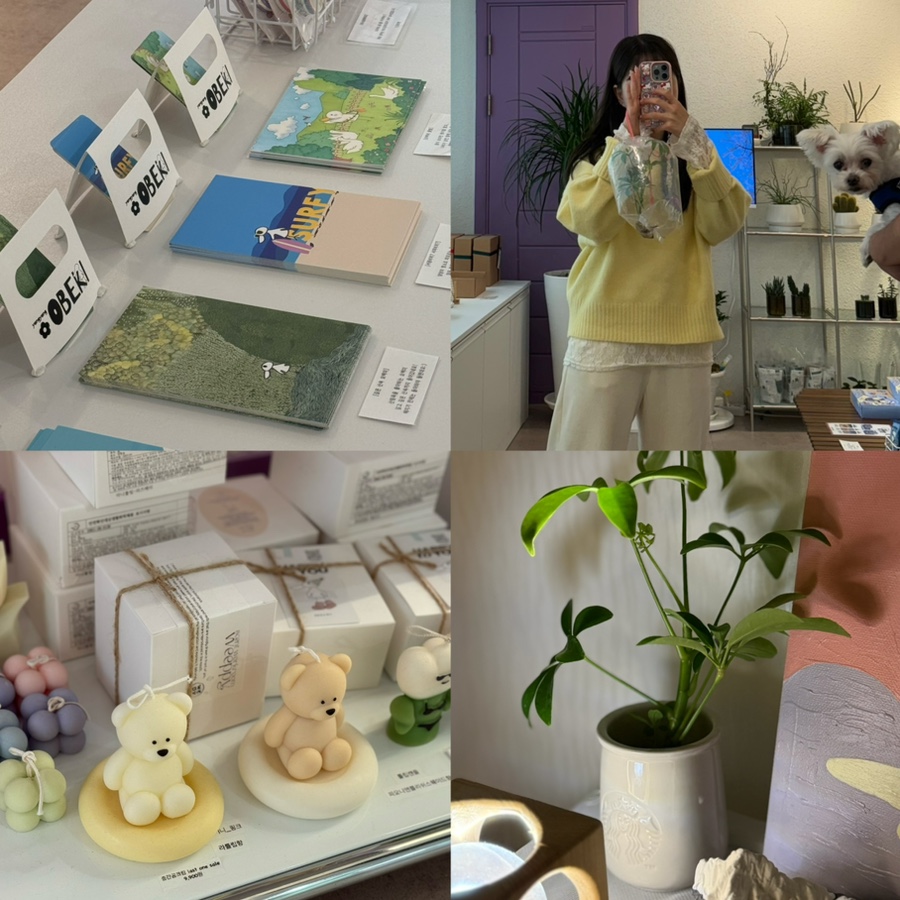 오백샵 이미지