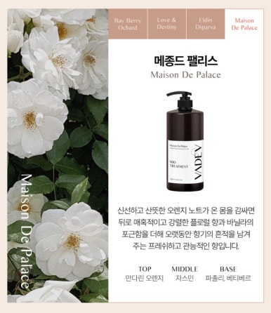 디브로 이미지