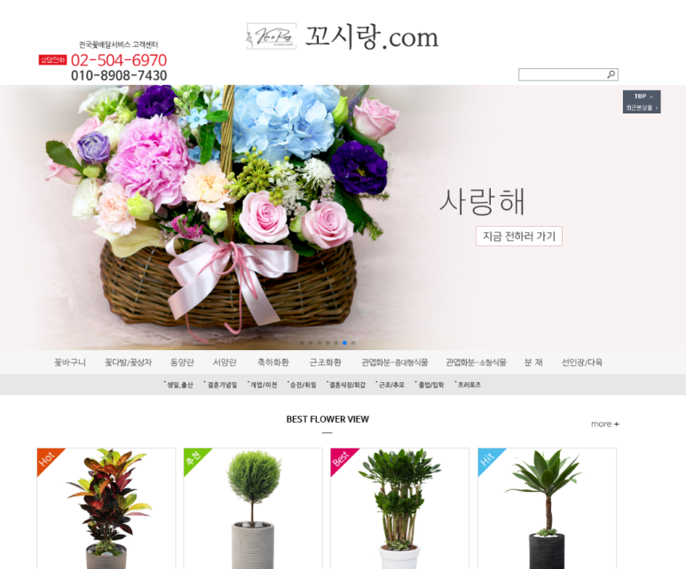 꼬시랑 이미지