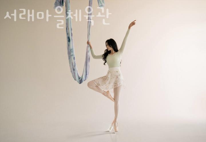 서래마을체육관 이미지