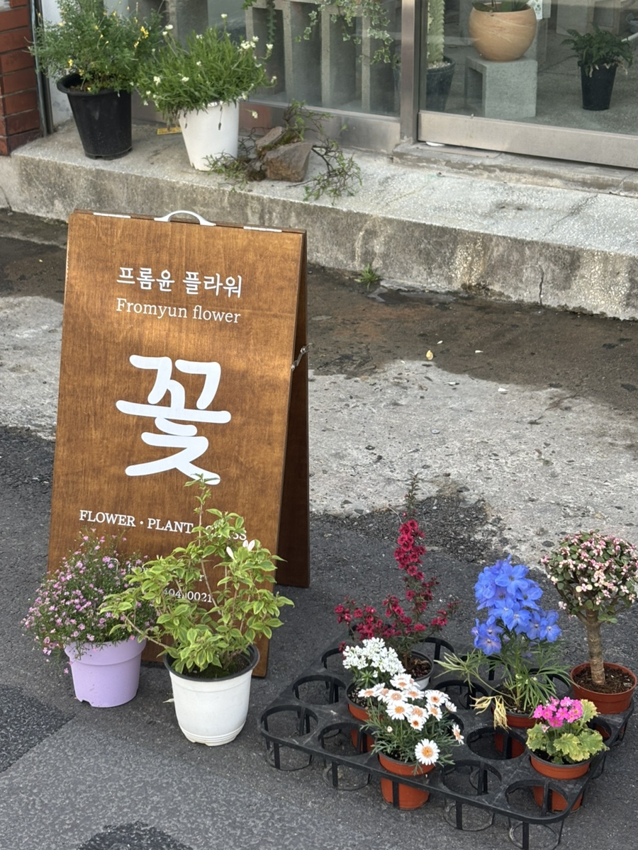 프롬미니플라워 이미지