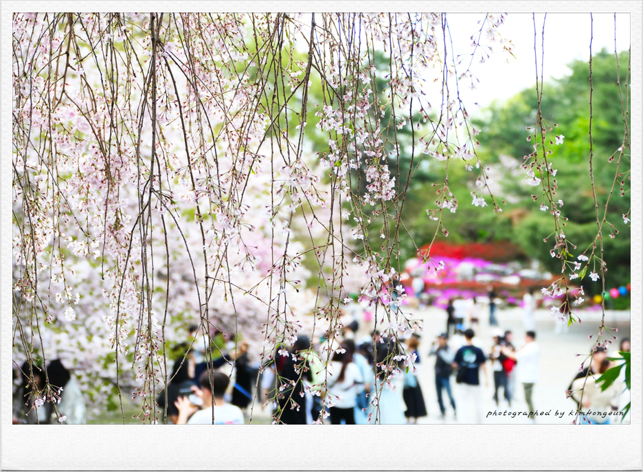 꽃을;보다 이미지