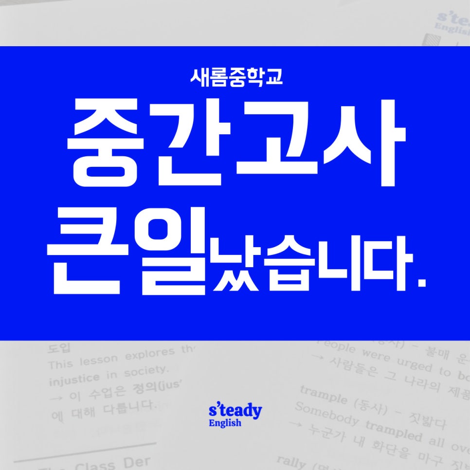 스테디잉글리쉬학원 이미지